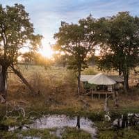 Botswana great plains duba explorers camp vista aerea tenda