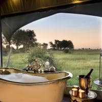 Botswana great plains duba plains camp banheira