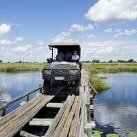 Botswana great plains duba plains camp safari carro