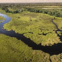 Botswana great plains duba plains camp vista aerea