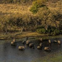 Botswana great plains selinda explorers elefantes na agua