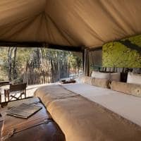 Botswana great plains selinda explorers tenda vista