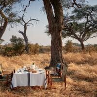 brunch belmond savute elephant lodge