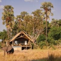 elefante belmond eagle island lodge