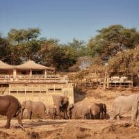 elefantes belmond savute elephant lodge