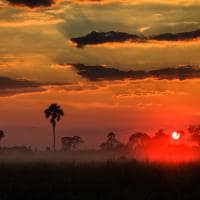 Nascer do sol Delta do Okavango Botswana