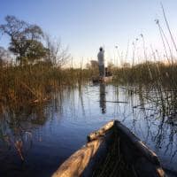 Safári Botswana Delta do Okavango