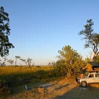 Safári Botswana Reserva Moremi