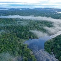 Amazon ecopark e