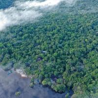 Amazon ecopark f