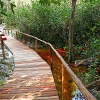 Amazon ecopark k