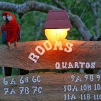 Amazon ecopark l