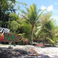 Amazon ecopark m