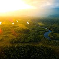 Amazonia vista aerea floresta