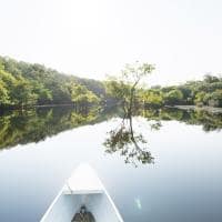 Anavilhanas jungle lodge passeio canoa