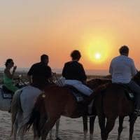 Atins passeio de cavalo