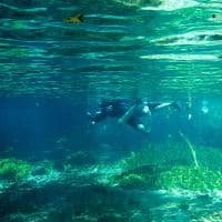 Bonito mato grosso do sul mergulho