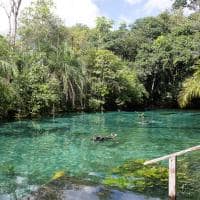 Bonito mato grosso do sul pessoa nadando aguas