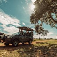 Caiman carro de safari
