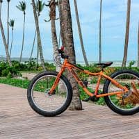 Fasano trancoso bicicleta