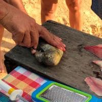 Food and safarri pantanal file de peixe