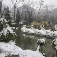 Gramado inverno neve