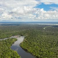 Gui gomes uakari lodge d