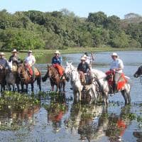 Ms barra mansa pantanal cavalgada