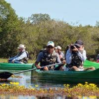 Ms barra mansa pantanal passeio canoa