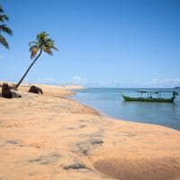 Mtur alagoas piacabucu foz rio sao francisco vegetacao marco ankosqui