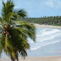 Mtur alagoas sao miguel dos milagres praia do patacho marco ankosqui