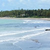 Mtur alagoas sao miguel dos milagres praia do toque aerea marco ankosqui