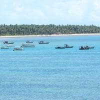 Mtur alagoas sao miguel dos milagres praia do toque barcos marco ankosqui