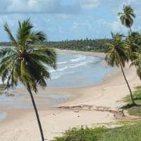 Mtur alagoas sao miguel dos milagres praia do toque coqueiros marco ankosqui