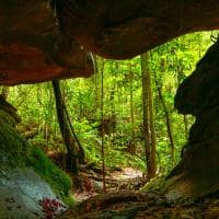 Mtur amazonas novo airao grutas do madada ana claudia jatahy