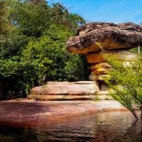 Mtur amazonas novo airao pedra do sanduiche ana claudia jatahy