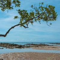 Mtur bahia cairu morro de sao paulo quarta praia marcio filho