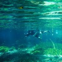 Mtur mato grosso do sul bonito rio sucuri pessoas flavio andre