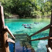 Mtur mato grosso do sul jardim rio da prata snorkel flavio andre