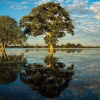 Paisagem do Pantanal