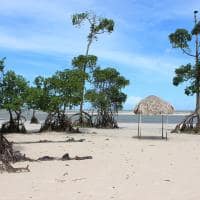 Para ilha de marajo praia