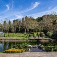Saint andrews jardim 5