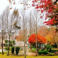 Saint andrews jardim 6