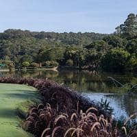 Sao paulo unique garden lago cisne