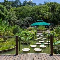 Sao paulo unique garden mandala