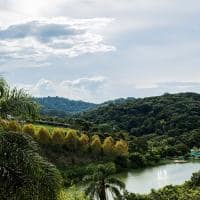 Sao paulo unique garden paisagem