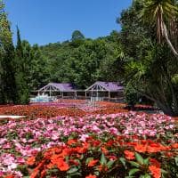 Sao paulo unique garden vila mediterranea