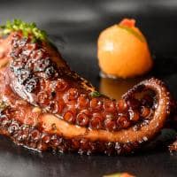 Toca da coruja duna by toca restaurante gastronomia
