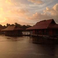 Uakari lodge b