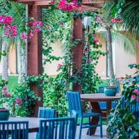 Varanda jardim carmel cumbuco